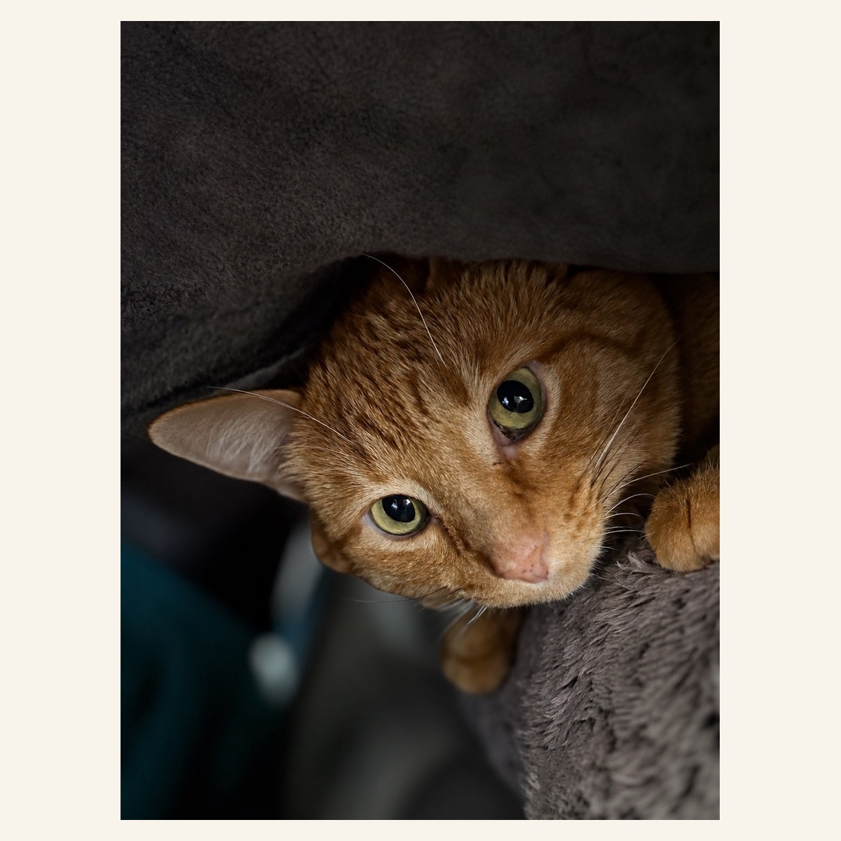 The real Butters โ photo 4